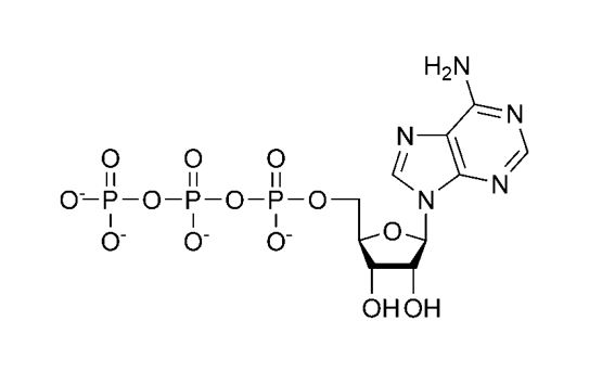 ATP